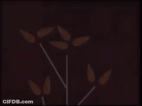 Cartoon Tree With Letter F GIF