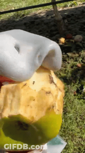Cartoon Tree With Red Apples GIF