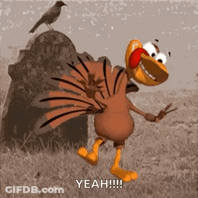 Cartoon Turkey Dancing With Bird On Rock GIF