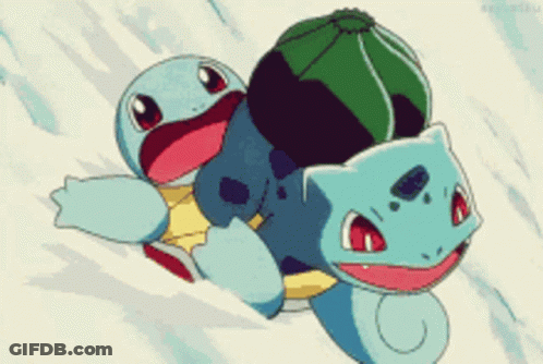 Cartoon Turtle And Cat GIF