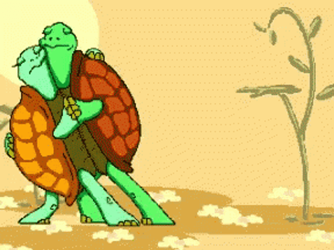 Cartoon Turtle Couple Dance GIF