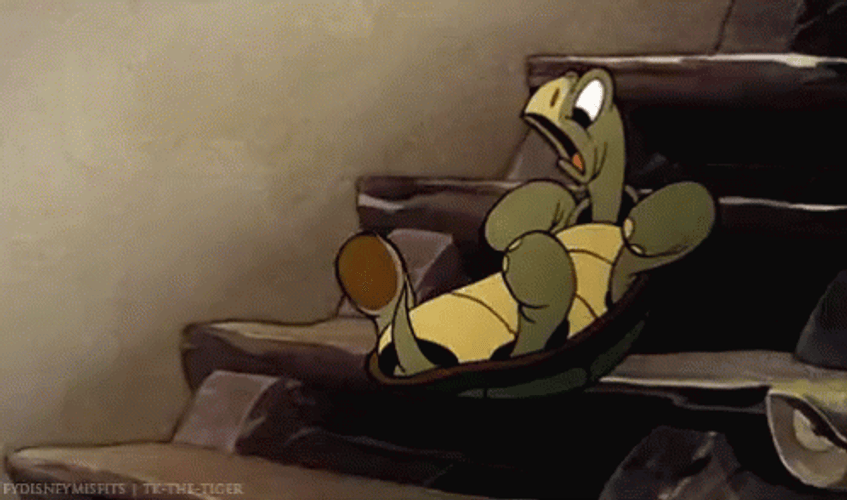 Cartoon Turtle Falling Down The Stairs GIF