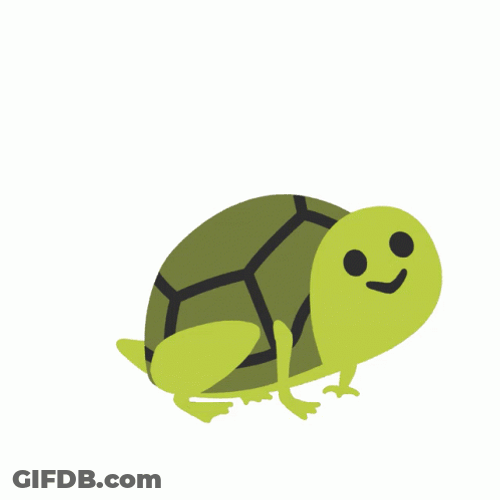Cartoon Turtle Frog GIF