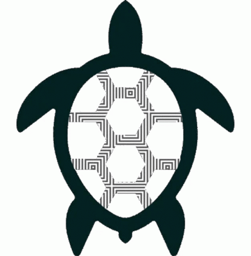 Cartoon Turtle Glitching GIF