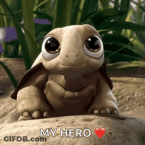Cartoon Turtle My Hero GIF
