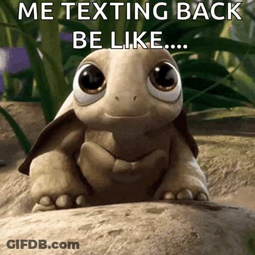 Cartoon Turtle On Rock Texting Back Be Like GIF
