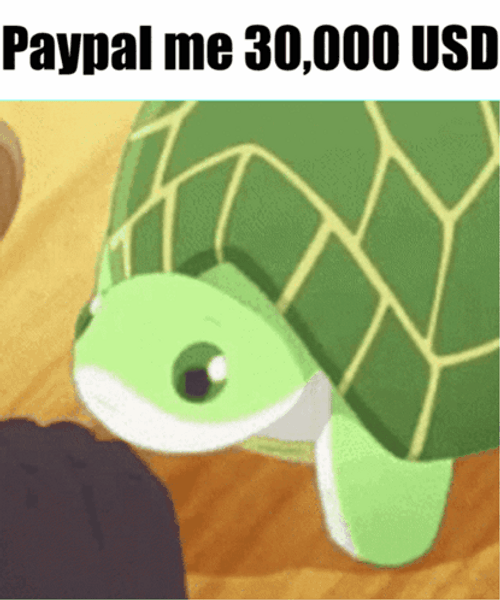 Cartoon Turtle Paypal Me 30000 USD GIF