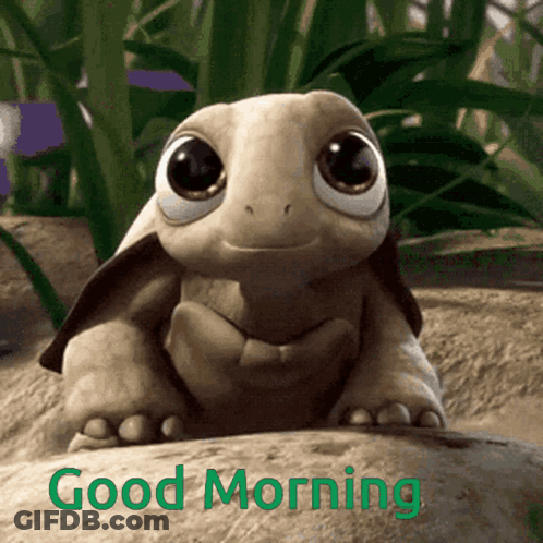 Cartoon Turtle Sitting On Rock Good Morning GIF