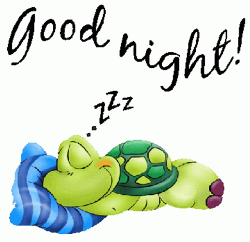 Cartoon Turtle Sleeping Good Night GIF