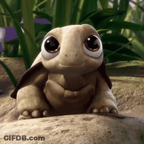 Cartoon Turtle Smiling On Rock GIF