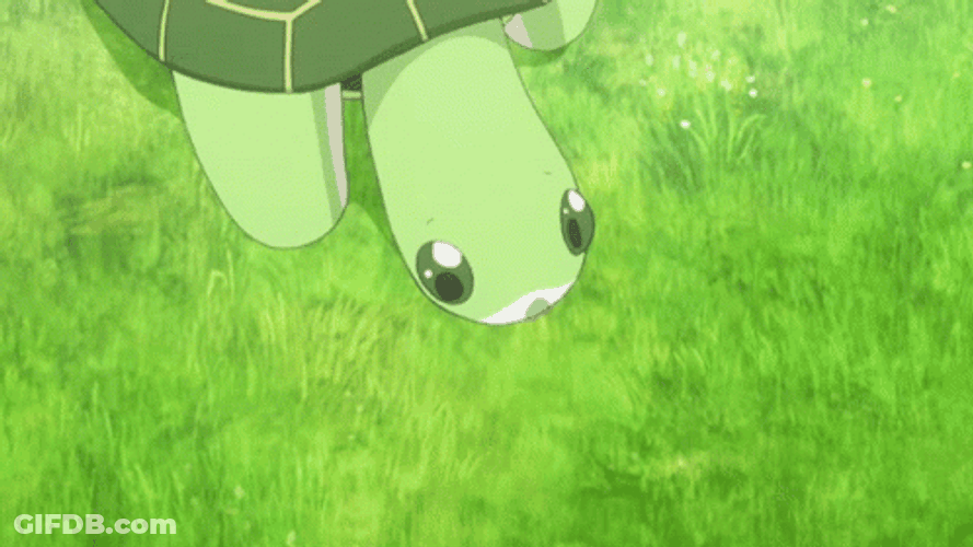 Cartoon Turtle Standing GIF