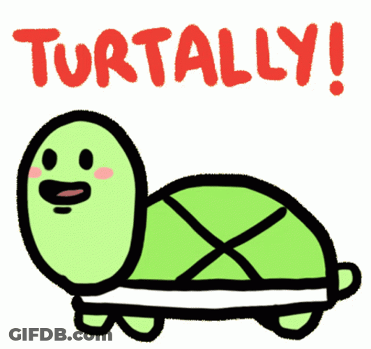 Cartoon Turtle Turtally GIF
