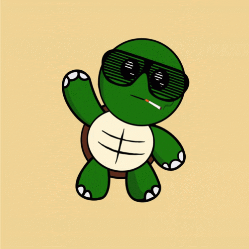 Cartoon Turtle With Sunglasses GIF