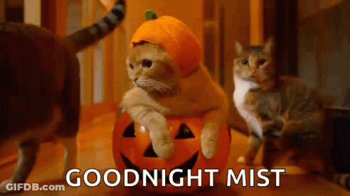 Cartoon Vampire Costume Close Up GIF