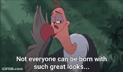 Cartoon Vulture Says Not Everyone Can Be Born With Such Great Looks GIF