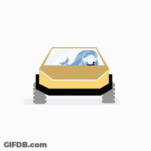 Cartoon Whale In Box With Steering Wheel GIF