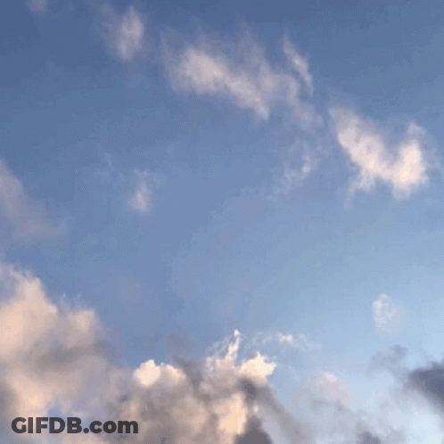 Cartoon With White Head And Yellow Wings GIF