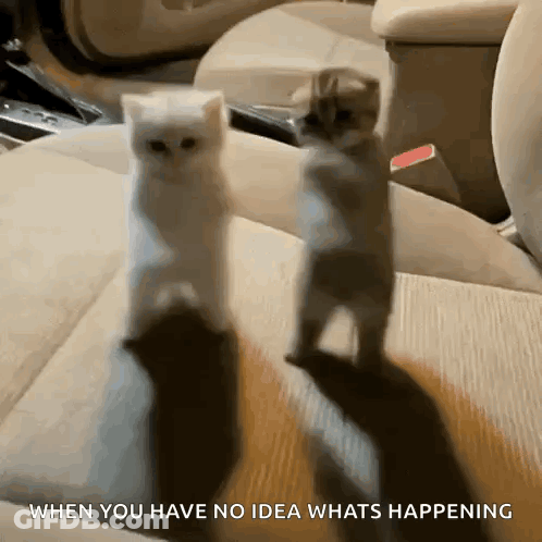 Cartoon Woman Holding Man On Shoulders GIF