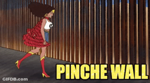 Cartoon Woman In Front Of Fence Saying Pinche Wall GIF