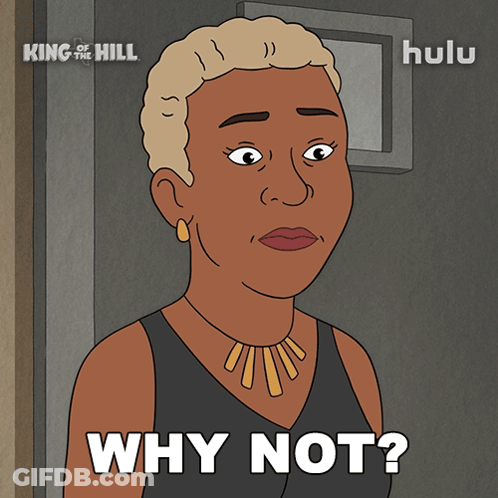 Cartoon Woman Saying Why Not GIF