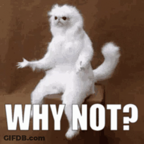 Cartoon Woman Saying Why Not GIF