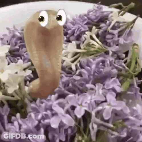Cartoon Worm Crawling On Plate Of Purple Flowers GIF