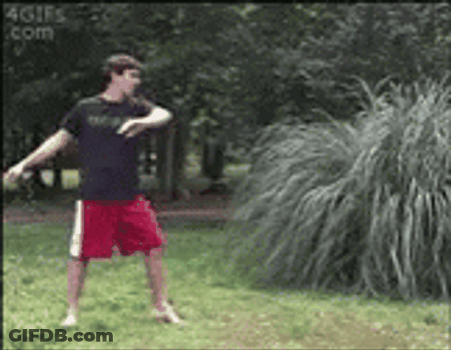 Cartwheel GIF