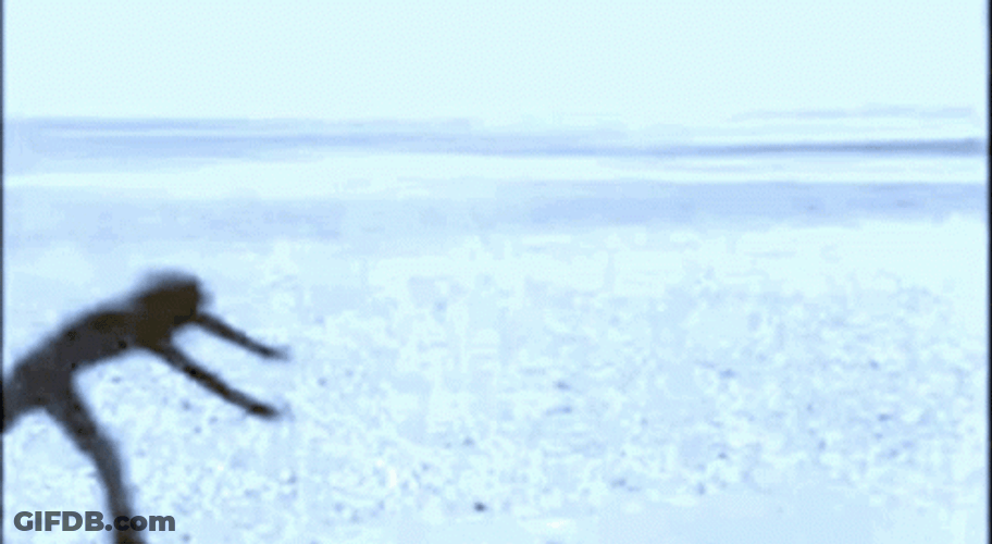 Cartwheel GIF