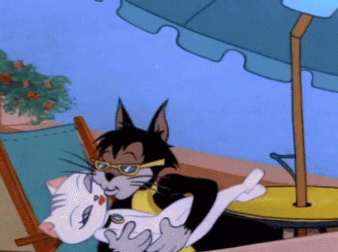 Casanova Cat Kiss Love GIF