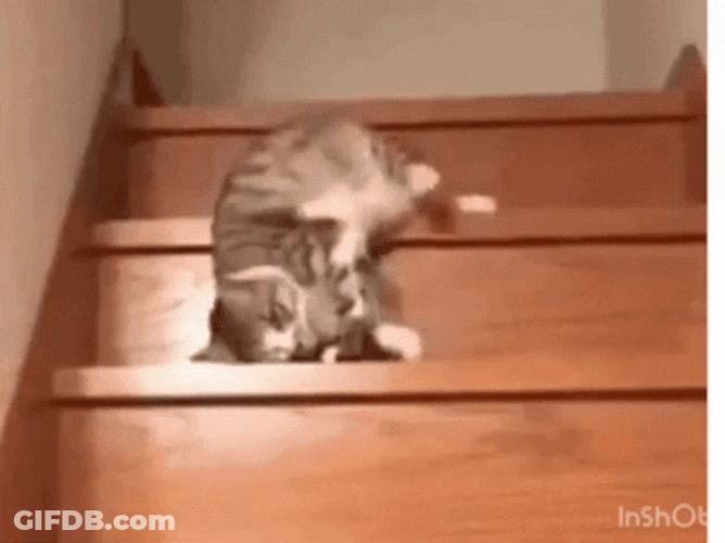 Case Of The Mondays GIF