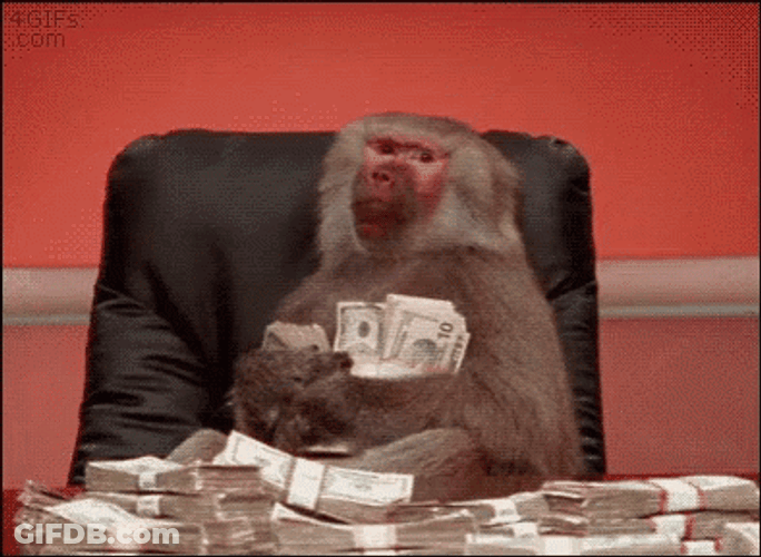 Cash Money GIF
