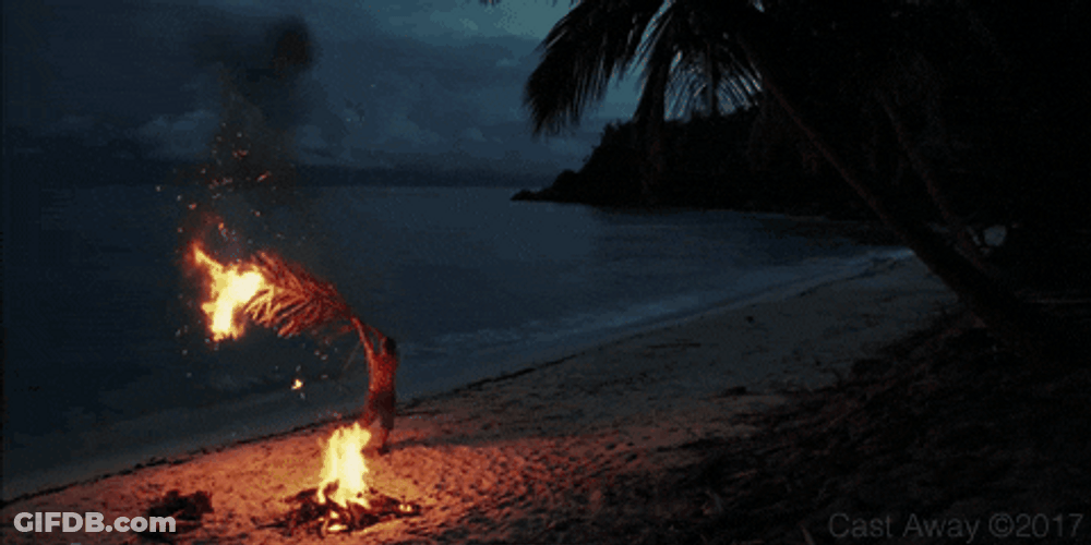 Cast Away Tom Hanks Holding Palm Frond GIF
