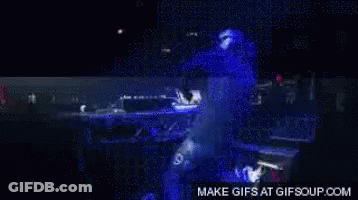 Cat And Bearded Man GIF