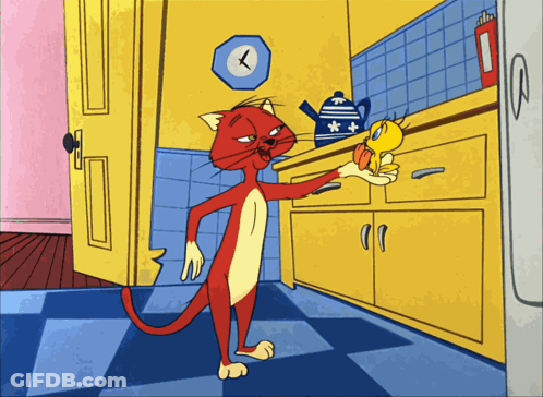 Cat And Bird In Kitchen With Clock GIF