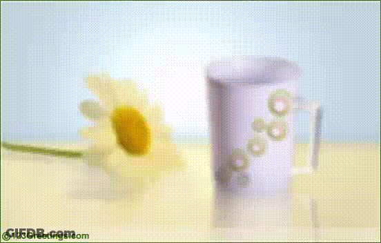 Cat And Cup Standing With Thanks GIF