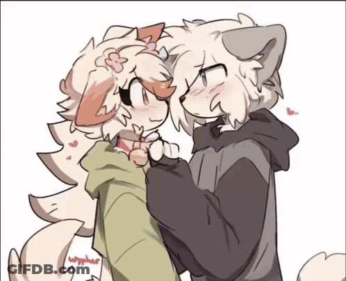 Cat And Dog Looking At Each Other GIF