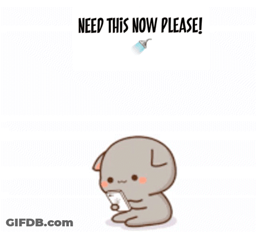 Cat And Dog Need This Now Please GIF