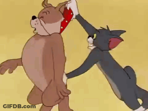 Cat And Dog Playing GIF