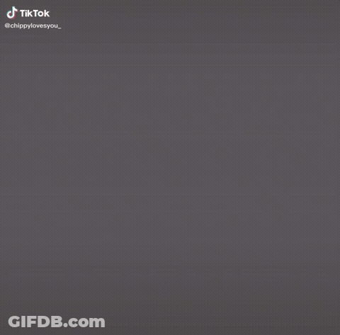 Cat And Dog Purr-Fect GIF