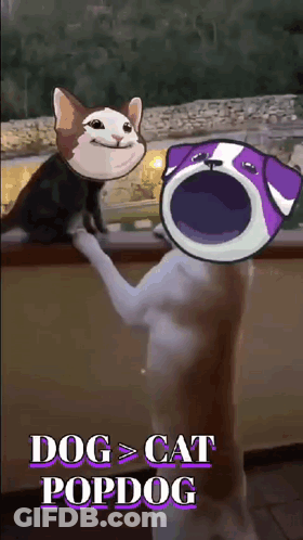Cat And Dog With Dog > Cat Popdog GIF