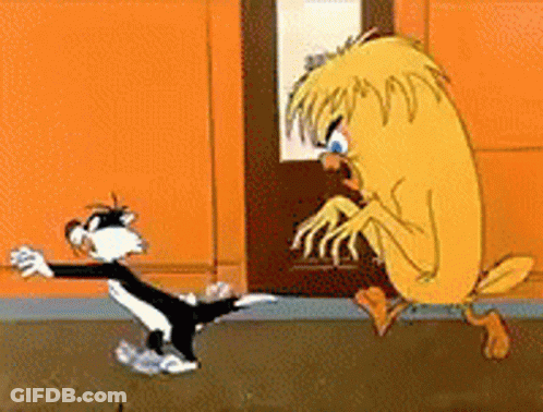 Cat And Duck Fighting GIF