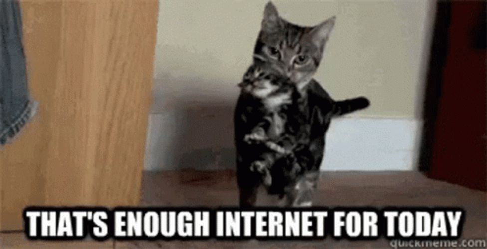 Cat And Her Kitten Are Going Bedtime GIF