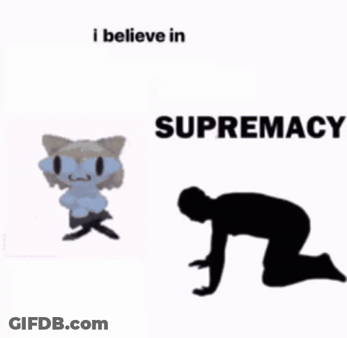Cat And Man Kneeling I Believe In Supremacy GIF
