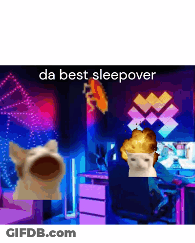 Cat And Man With Da Best Sleepover GIF