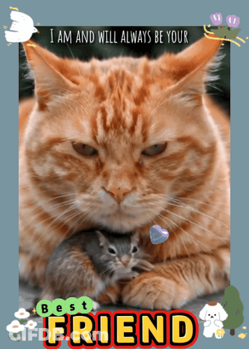 Cat And Mouse Best Friends GIF