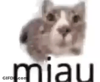 Cat And Mouse Sitting Together GIF
