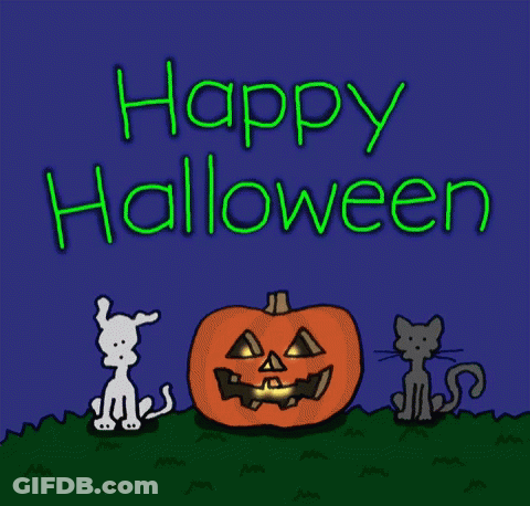 Cat And Pumpkin Saying Happy How Oween GIF