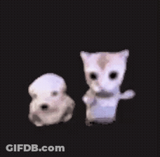 Cat And Puppy Holding Hands GIF