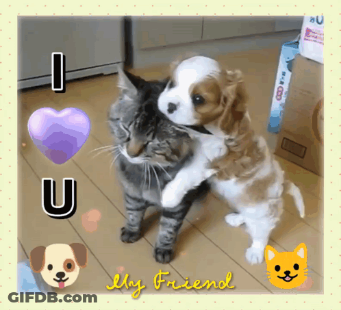 Cat And Puppy I Love U My Friend GIF