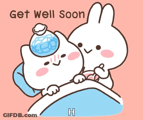 Cat And Rabbit Saying Get Well Soon GIF